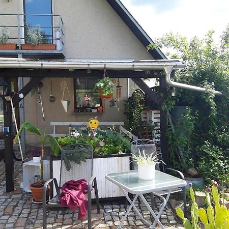 Ferienwohnung Auf Dem Land Rochlitz Eksteriør billede