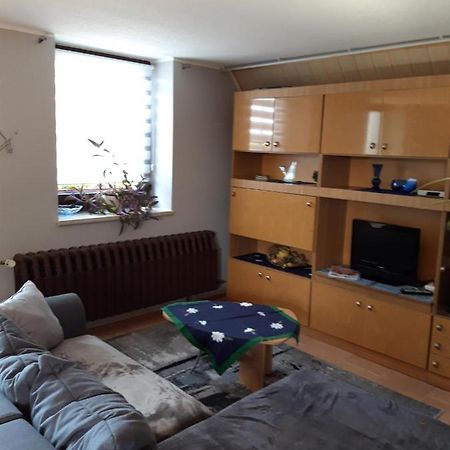 Ferienwohnung Auf Dem Land Rochlitz Eksteriør billede