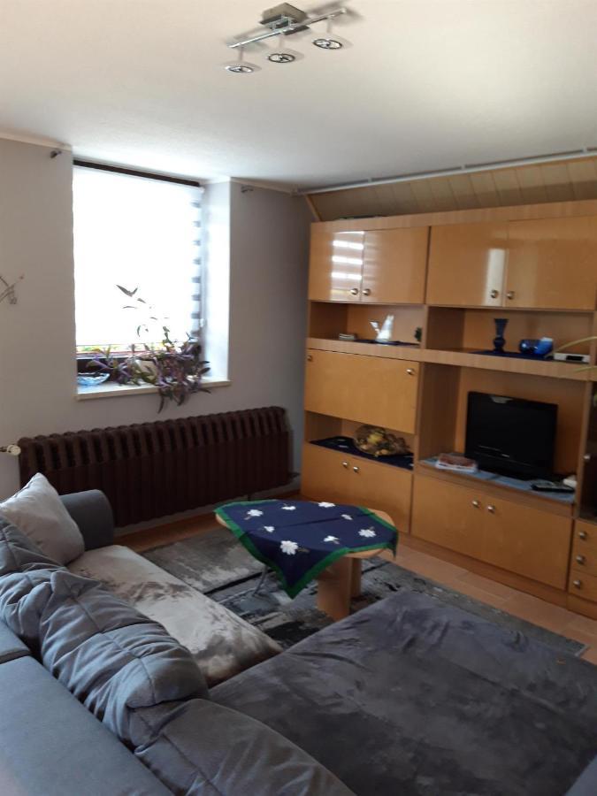 Ferienwohnung Auf Dem Land Rochlitz Eksteriør billede