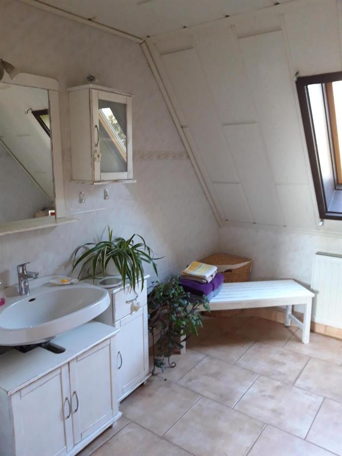 Ferienwohnung Auf Dem Land Rochlitz Eksteriør billede