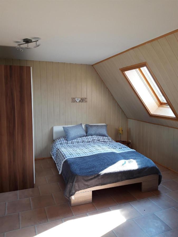 Ferienwohnung Auf Dem Land Rochlitz Eksteriør billede